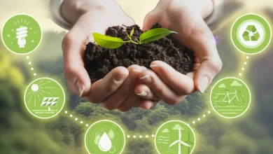 B Tech programme in sustainable development in IIT Ghy