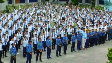 JNVST Class 6 Admit cards 2022 are out now, steps to download