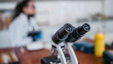 One Week Training Programme at Gauhati University