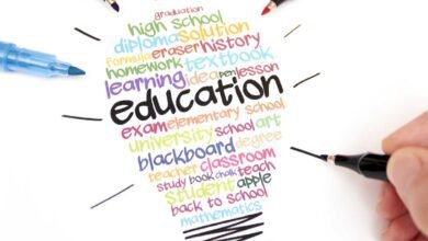 Four Year Degree Programme 2022 will help students to complete graduation in 4 years