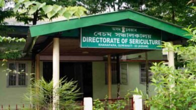 Assam Sericulture Recruitment 2023 for 140 vacancies; Apply now - Bohikitap Sericulture Recruitment 2023: The Directorate of Sericulture, Assam released a notification for the post of 140 Sericulture Demonstrator, read this article for more information.