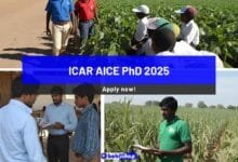 ICAR AICE PhD 2025