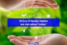 Celebrating World Environment Day: 10 Eco-Friendly habits we all can adopt