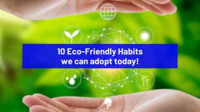 Celebrating World Environment Day: 10 Eco-Friendly habits we all can adopt