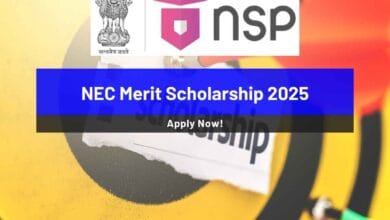 NEC Merit Scholarship 2025